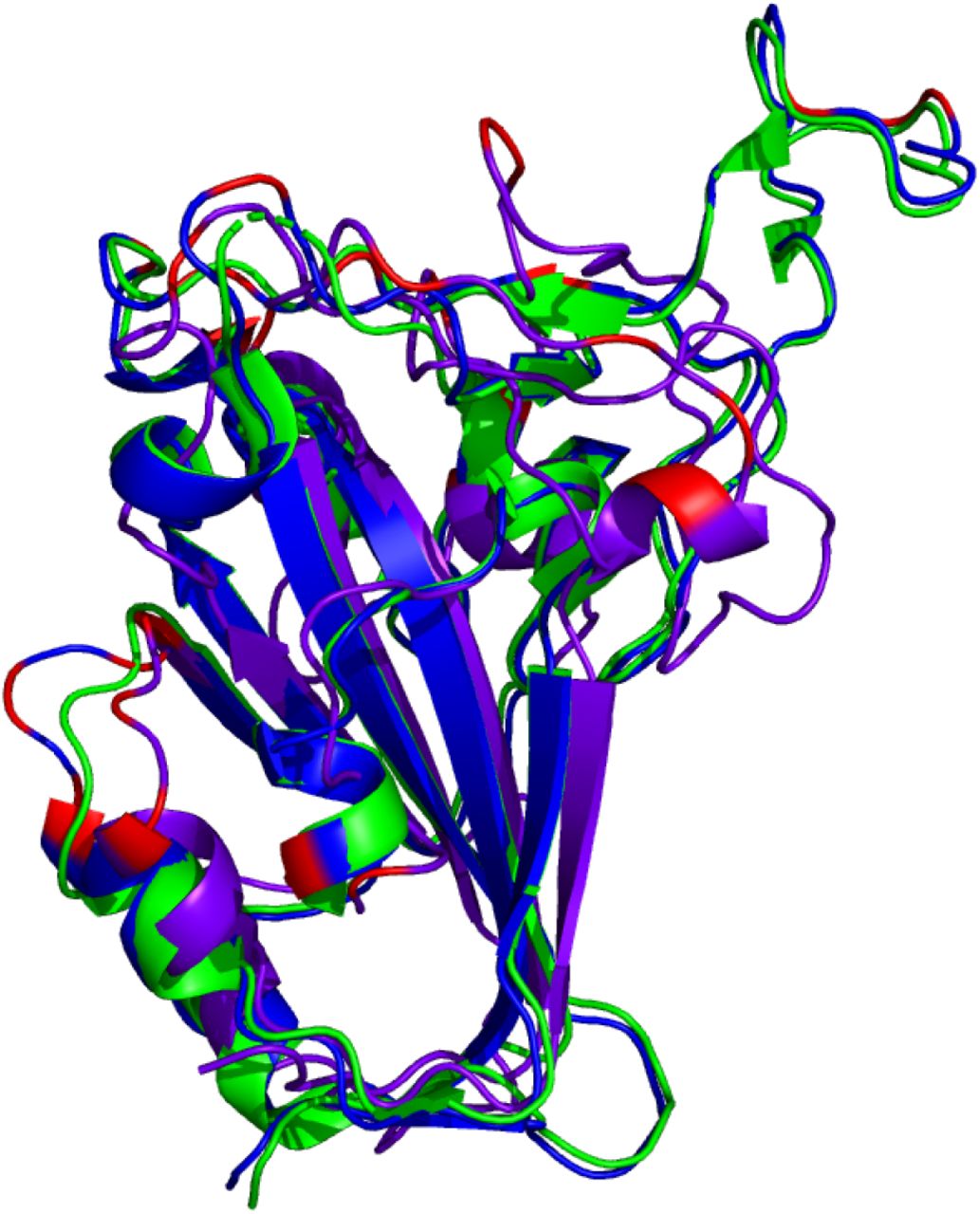 Comparison of reference RBD structure (PDB: 6XC2, shown in green) and the predicted Omicron (B.1.1.529) RBD structures (AlphaFold2 shown in blue, RoseTTAFold shown in purple). Mutated residues are highlighted in red.