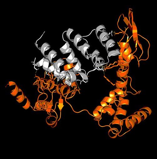 Link to article: The Great Cellular Heist The Great Cellular Heist