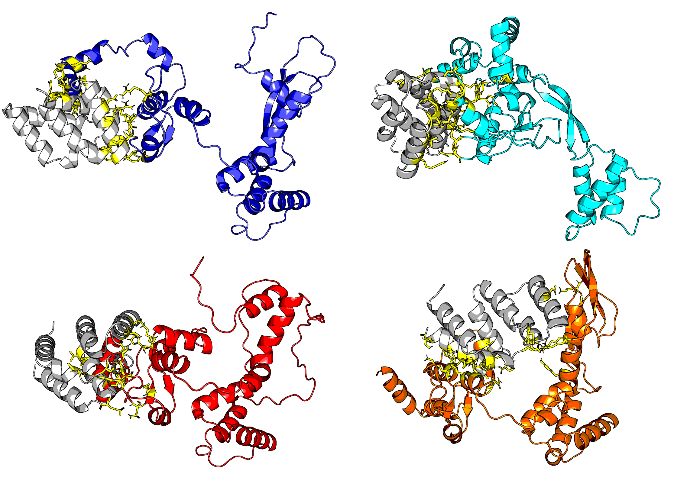 PB2 is an influenza protein