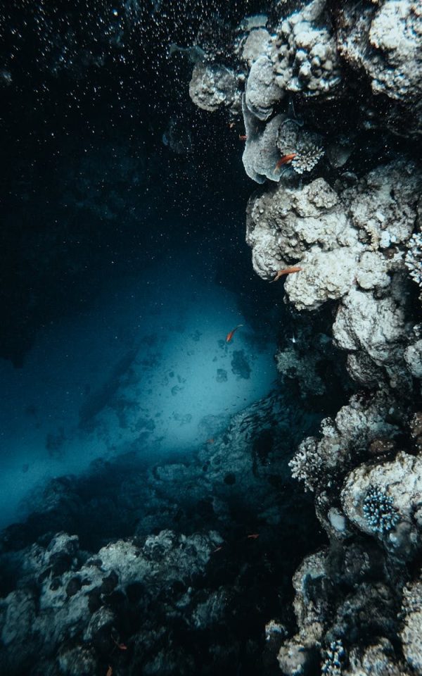 Explore the stunning underwater coral formations in Dahab, Egypt, showcasing marine beauty.
